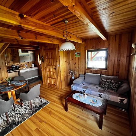 Domek U Karkonosza Villa คาเมียนนา กูรา ภายนอก รูปภาพ